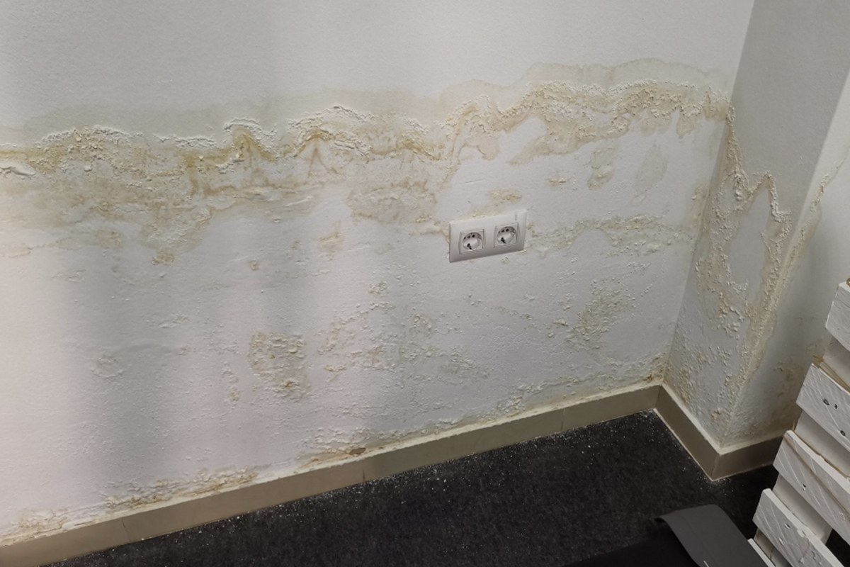 hail-damage-1272030_960_720-1_0001_D x A (9)