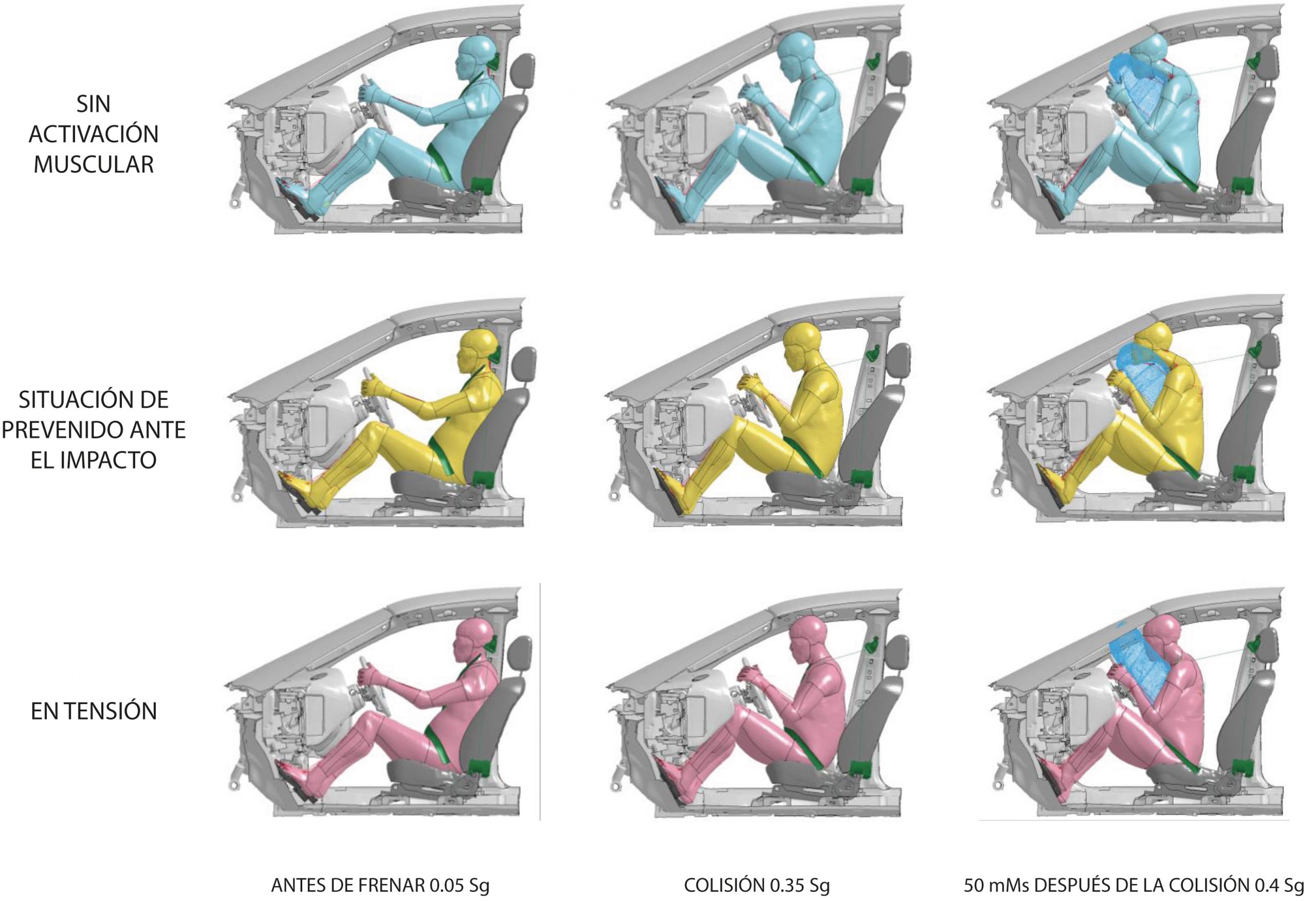 CESVIMAP_RAT_Analisis_Biomecanico-scaled